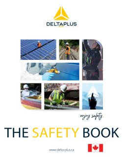 Delta Plus Services